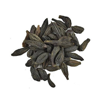 Kara Halile (Terminalia chebula) 100 g