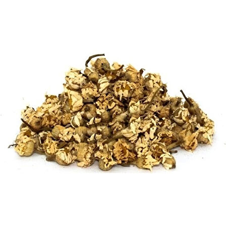 Papatya Mayıs 50Gr 1Adet