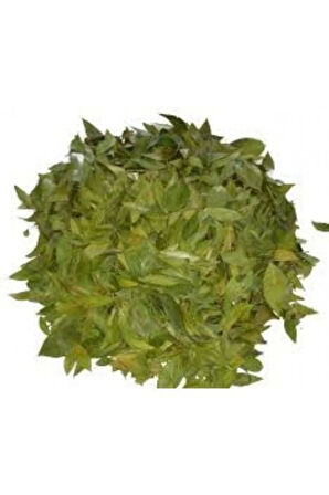 Sidr Yaprağı (Zizyphus Spina),Arabistan Kirazı Yaprağı, 250gr, Derya Eren