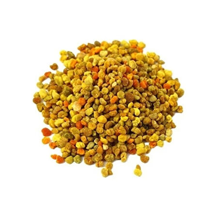 Arı Poleni (kurutulmuş polen) 100g