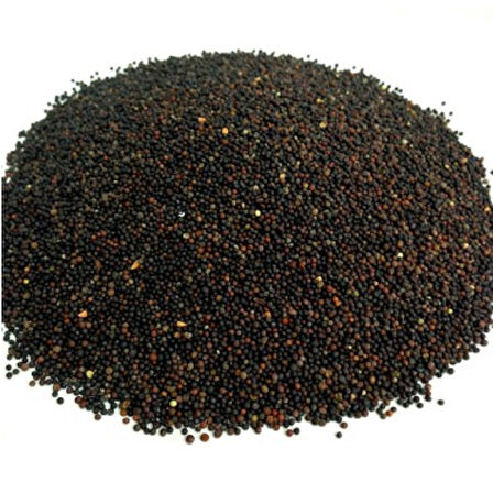 Siyah Hardal Tohumu 500 gr