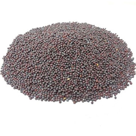Siyah Hardal Tohumu 500 gr