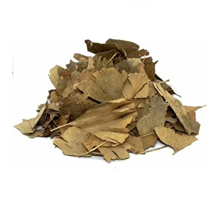 Ginkgo Biloba Yaprağı (Mabed Ağacı) Ginko 100g