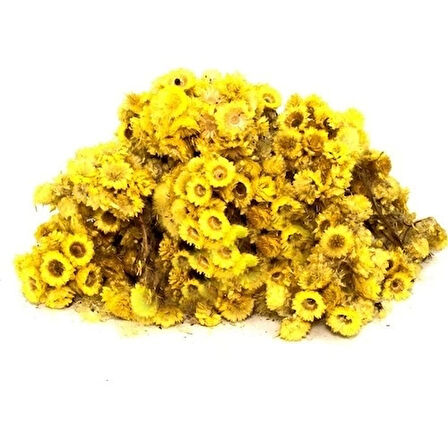 Altın Otu (Altınotu) Solidago virgaurea 1 kg, Derya Eren