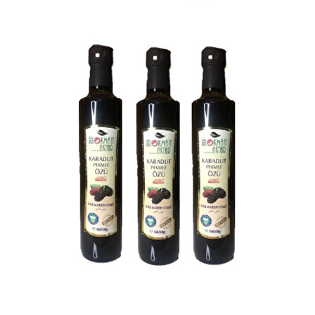 Karadut Pekmez Özü 680 Gr. 3Adet, Lokman Aktar