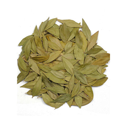 Mersin Yaprağı Myrtus communis 250g