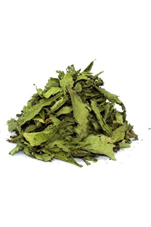 Stevia Yaprağı Şeker Otu 50 Gr
