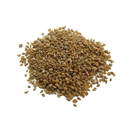 Kereviz Tohumu 100 gr (Celery Seeds)