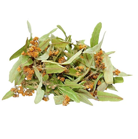 Ihlamur Yaprak Çiçek 1 kg ıhlamur, Derya Eren