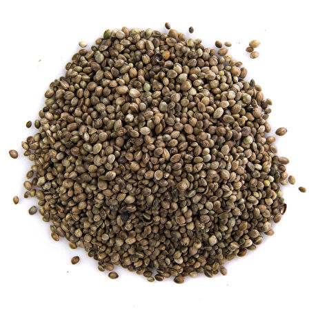 Çedene Tohumu 1 kg, Derya Eren