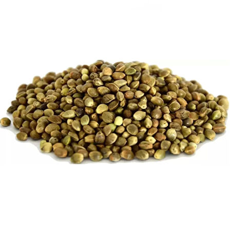 Çedene Tohumu 1 kg, Derya Eren