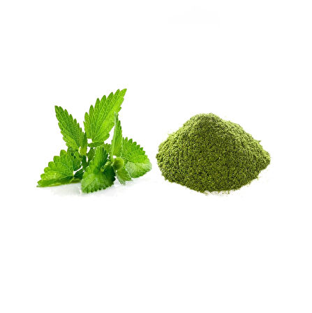 Nane Bitkisi Toz 250g
