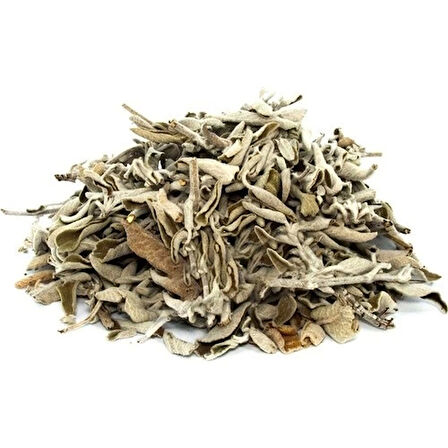 Adaçayı Gri 30 Gr(Paket-Bitki) 1Adet