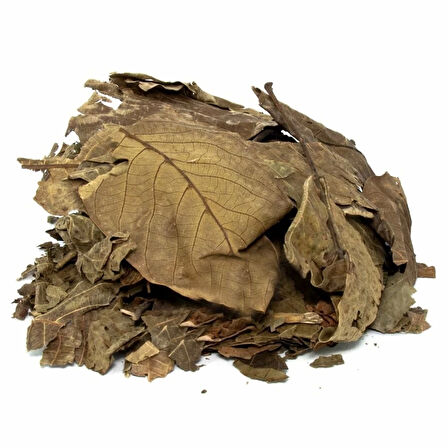 Ceviz Yaprağı 40 Gr (Paket-Bitki) 1Adet
