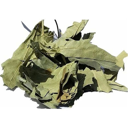 Çınar Yaprağı 20 Gr (Paket-Bitki) 1Adet