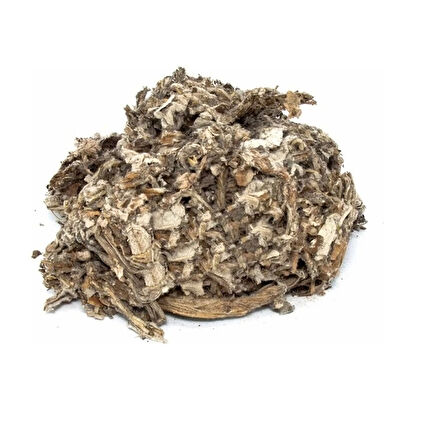 Enginar Yaprağı 30 Gr (Paket-Bitki) 1Adet