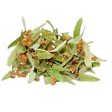 Ihlamur Yaprak 40 Gr (Paket-Bitki) 1Adet