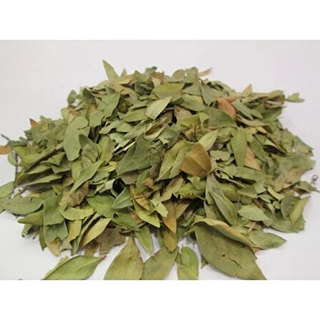 Mersin Yaprağı 35 Gr (Paket-Bitki) 1Adet