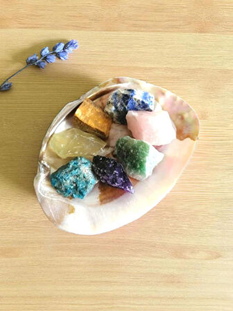 ARTEMİS İstiridye Sedef Deniz Kabuğu ve 7'li Ham Doğal Taş Set