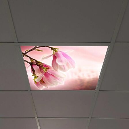 Gök Panel 60X60 LED Panel Sıva Altı Desenli Tekli 46510006SA