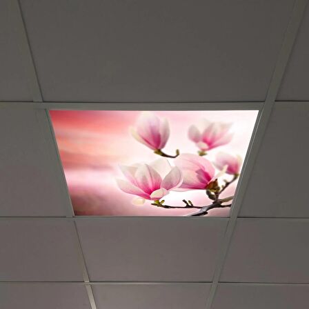 Gök Panel 60X60 LED Panel Sıva Altı Desenli Tekli 46510007SA