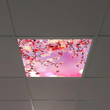 Gök Panel 60X60 LED Panel Sıva Altı Desenli Tekli 46510008SA