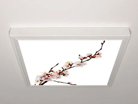 Gök Panel 60X60 LED Panel Aydınlatma Armatür Avize Sıva Üstü Desenli Tekli 46510021SU