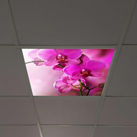 Gök Panel 60X60 LED Panel Sıva Altı Desenli Tekli 46510024SA