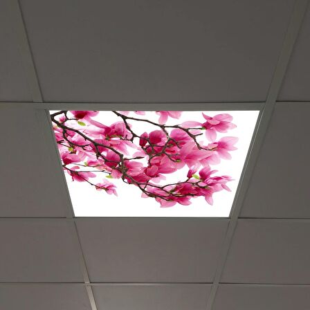 Gök Panel 60X60 LED Panel Sıva Altı Desenli Tekli 46510026SA