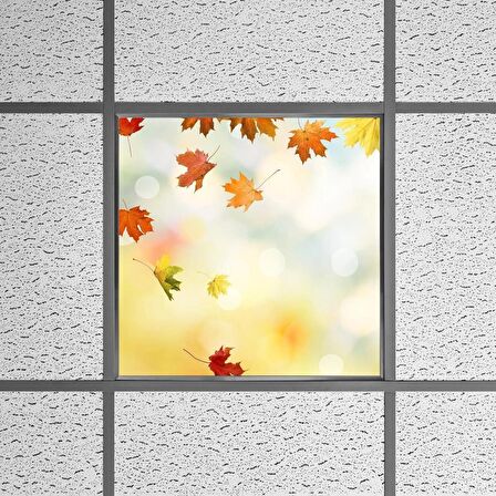 Gök Panel 60X60 LED Panel Sıva Altı Desenli Tekli 46510081SA