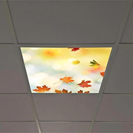 Gök Panel 60X60 LED Panel Sıva Altı Desenli Tekli 46510081SA