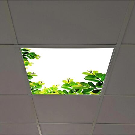 Gök Panel 60X60 LED Panel Sıva Altı Desenli Tekli 46510092SA