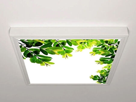 Gök Panel 60X60 LED Panel Aydınlatma Armatür Avize Sıva Üstü Desenli Tekli 46510092SU