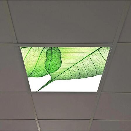 Gök Panel 60X60 LED Panel Sıva Altı Desenli Tekli 46510099SA