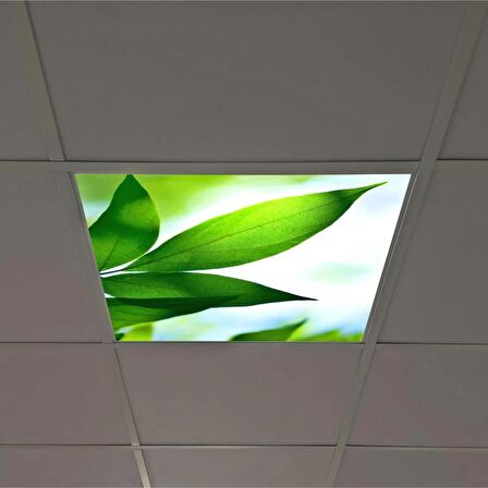 Gök Panel 60X60 LED Panel Sıva Altı Desenli Tekli 46510103SA