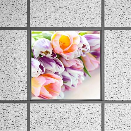 Gök Panel 60X60 LED Panel Sıva Altı Desenli Tekli 46510160SA