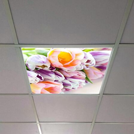 Gök Panel 60X60 LED Panel Sıva Altı Desenli Tekli 46510160SA