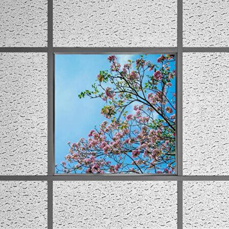 Gök Panel 60X60 LED Panel Sıva Altı Desenli Tekli 46510168SA