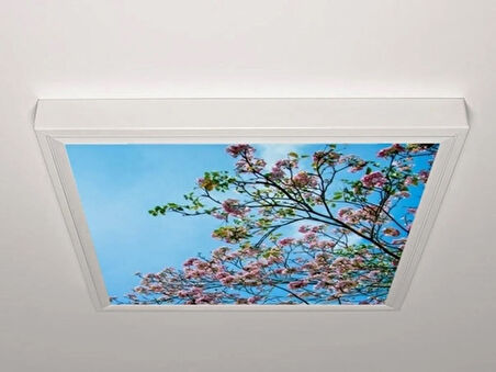 Gök Panel 60X60 LED Panel Aydınlatma Armatür Avize Sıva Üstü Desenli Tekli 46510168SU