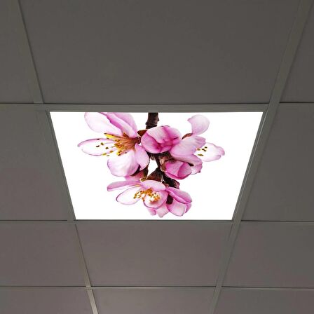 Gök Panel 60X60 LED Panel Sıva Altı Desenli Tekli 46510169SA