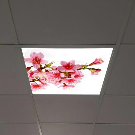 Gök Panel 60X60 LED Panel Sıva Altı Desenli Tekli 46510170SA