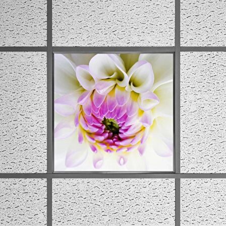 Gök Panel 60X60 LED Panel Sıva Altı Desenli Tekli 46510171SA