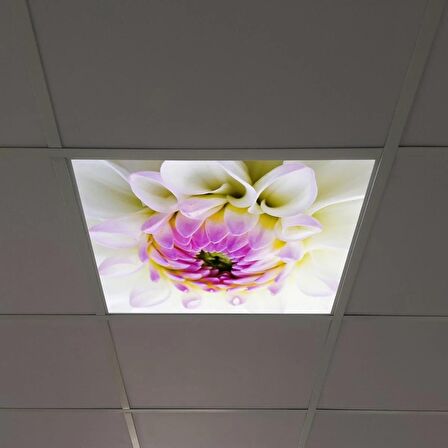 Gök Panel 60X60 LED Panel Sıva Altı Desenli Tekli 46510171SA