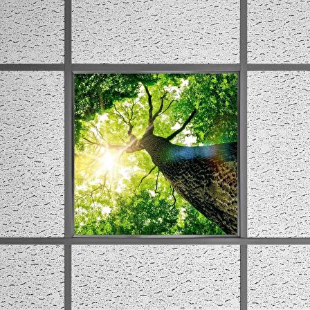 Gök Panel 60X60 LED Panel Sıva Altı Desenli Tekli 46510172SA