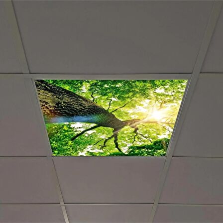 Gök Panel 60X60 LED Panel Sıva Altı Desenli Tekli 46510172SA