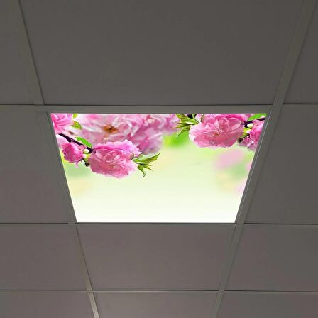 Gök Panel 60X60 LED Panel Sıva Altı Desenli Tekli 46510181SA