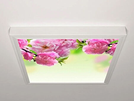 Gök Panel 60X60 LED Panel Aydınlatma Armatür Avize Sıva Üstü Desenli Tekli 46510181SU