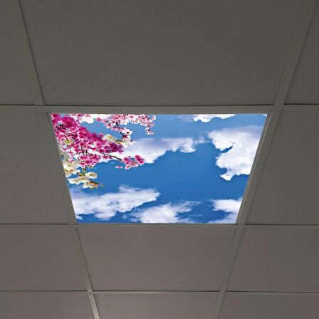 Gök Panel 60X60 LED Panel Sıva Altı Desenli Tekli 46510186SA