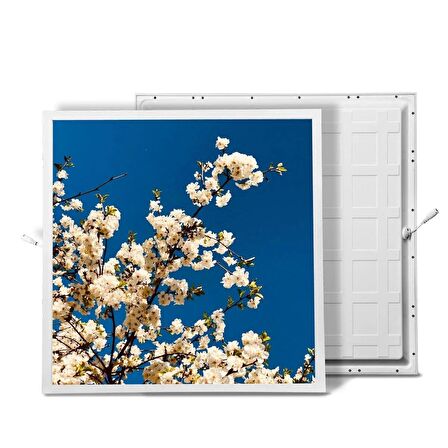 Gök Panel 60X60 LED Panel Sıva Altı Desenli Tekli 46510207SA