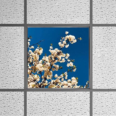 Gök Panel 60X60 LED Panel Sıva Altı Desenli Tekli 46510207SA